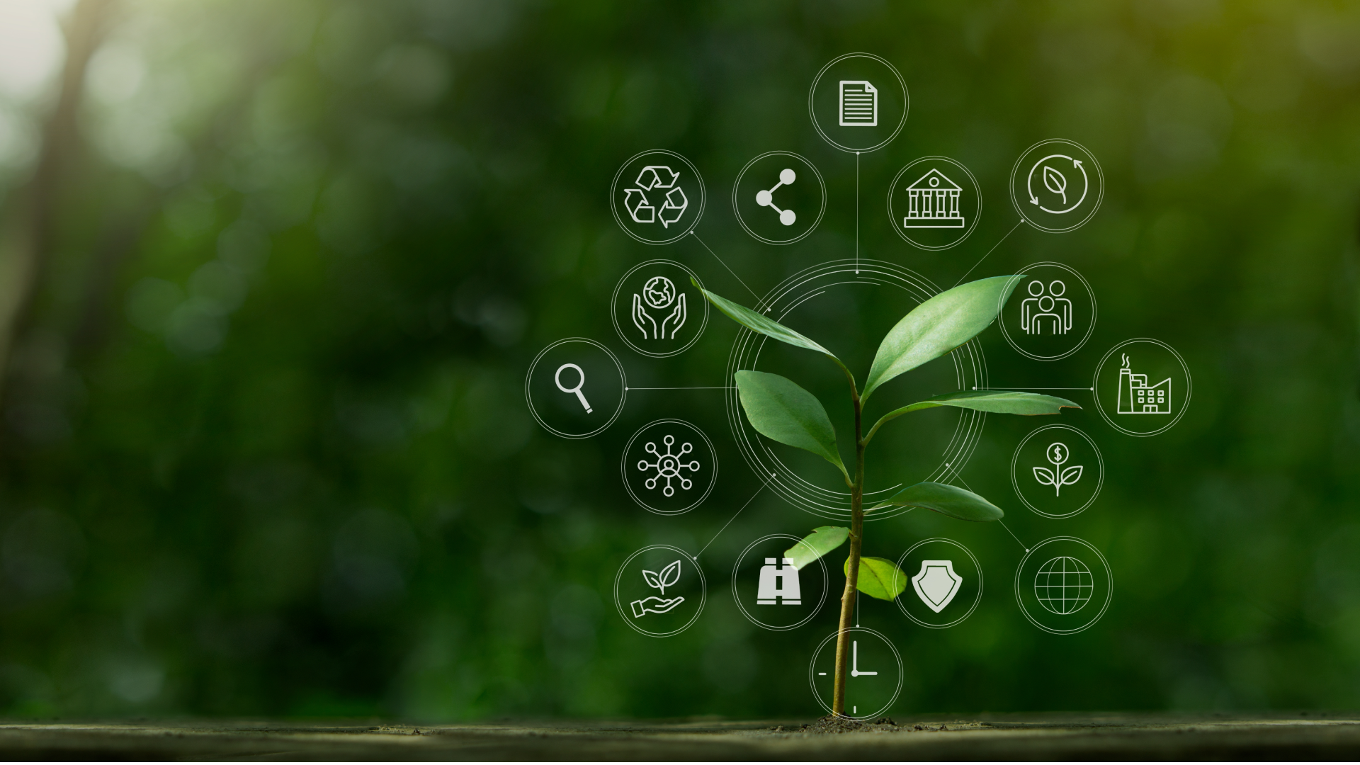 Overcoming Challenges in Sustainability Reporting